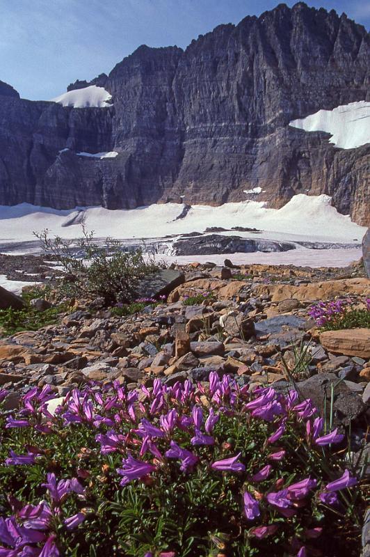 Glacier NP Aug-1990 Iceberg Lake 4.jpg